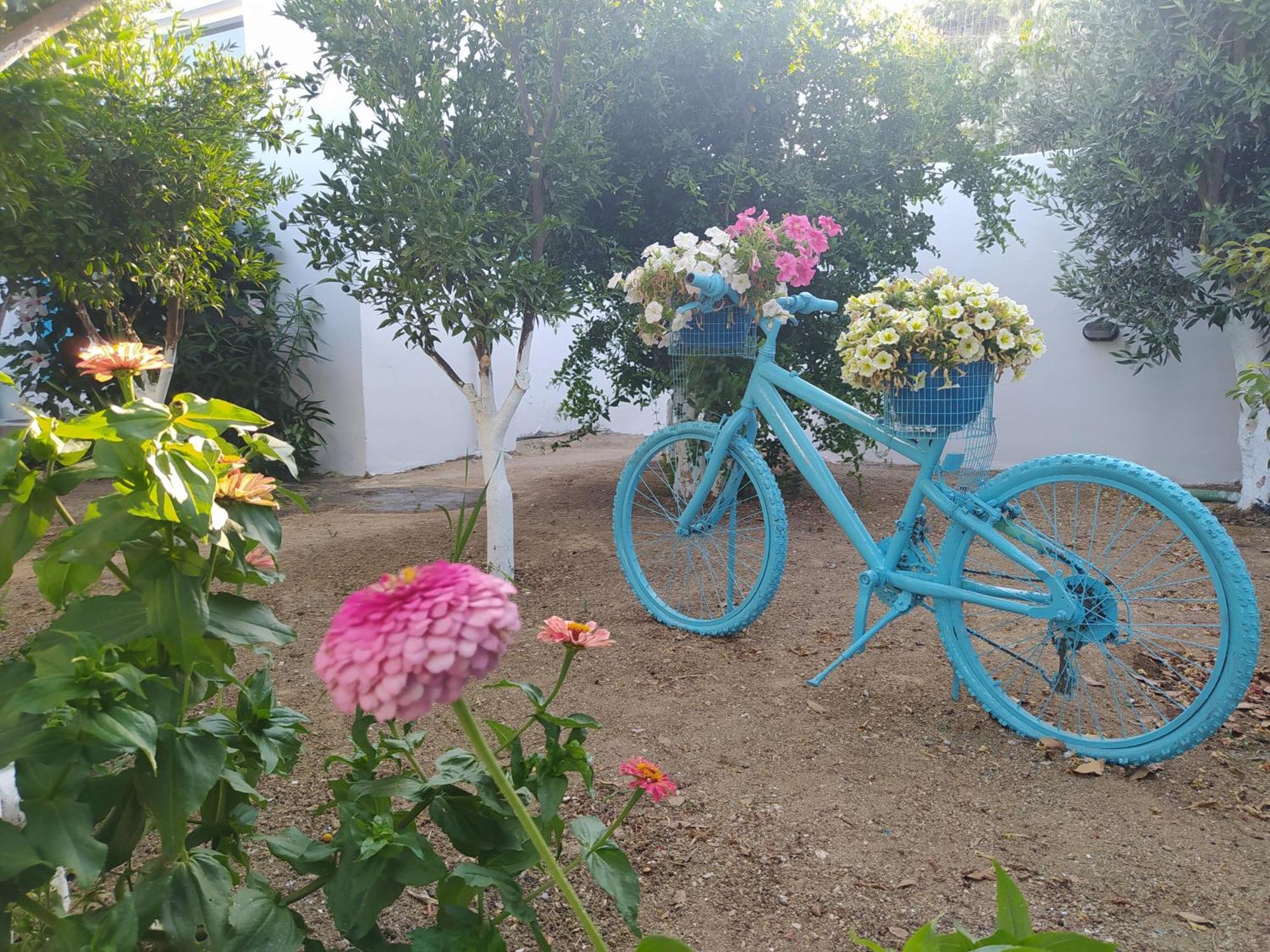 Apartamento Perivoli 3-Chora Agkidia Exterior foto