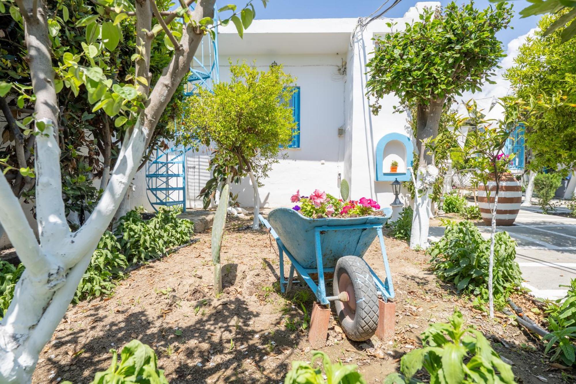 Apartamento Perivoli 3-Chora Agkidia Exterior foto
